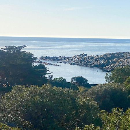 Maison De Pecheur Superbe Vue Mer, Grand Jardin Villa Cadaques Exterior photo